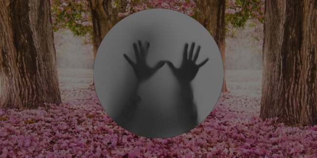 Если попали в замкнутый круг - «Стиль жизни»