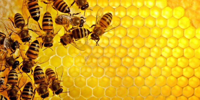 Как добрым людям противостоять нападкам