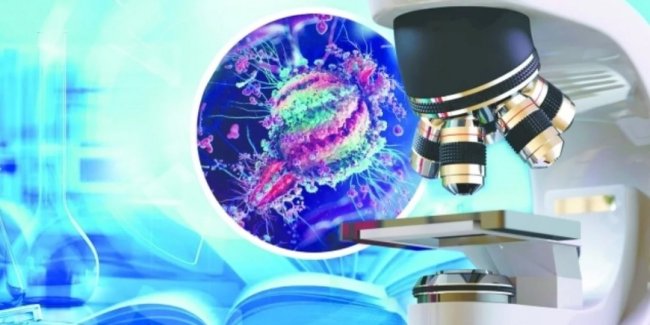 Бактерии, защищающие от ожирения - «Здоровье»