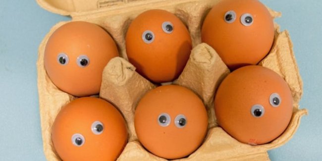 В России опять образовался дефицит яиц - «Бизнес»